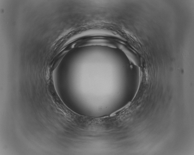 X0000088871206200706081207