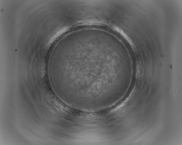 X0000088871213200706081207