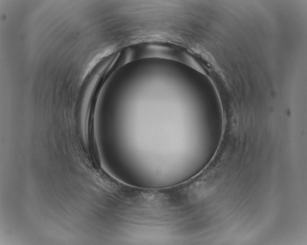 X0000088871218200706081207