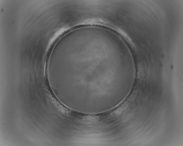 X0000088871224200706081207