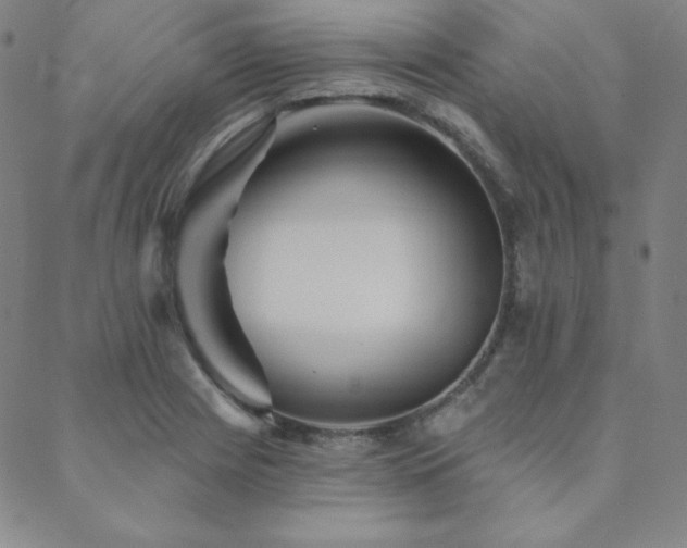 X0000088871225200706081207