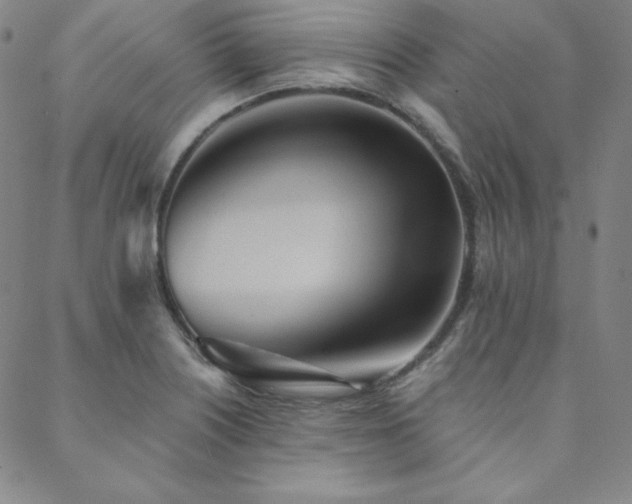X0000088871226200706081207