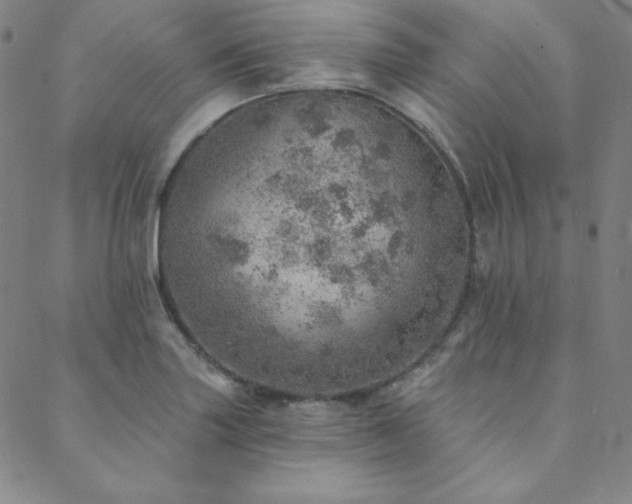 X0000088871227200706081207