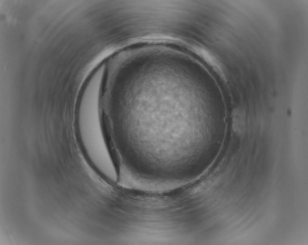 X0000088871229200706081207