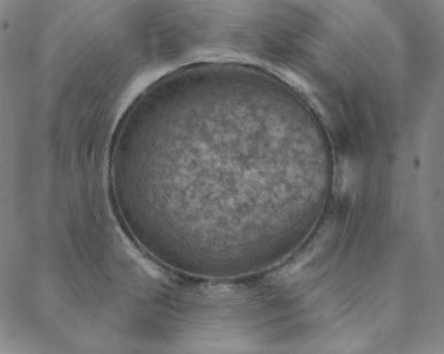X0000088871231200706081207