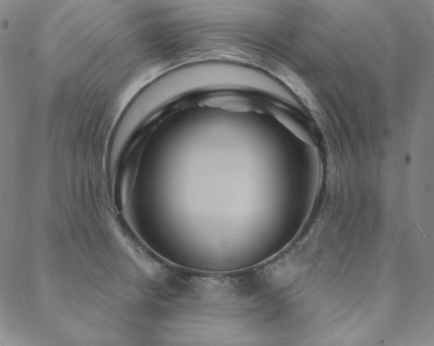 X0000088871234200706081207