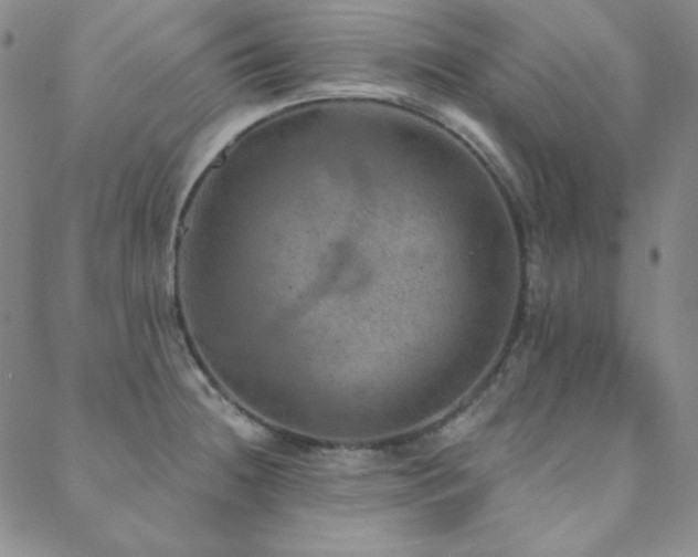 X0000088871236200706081207