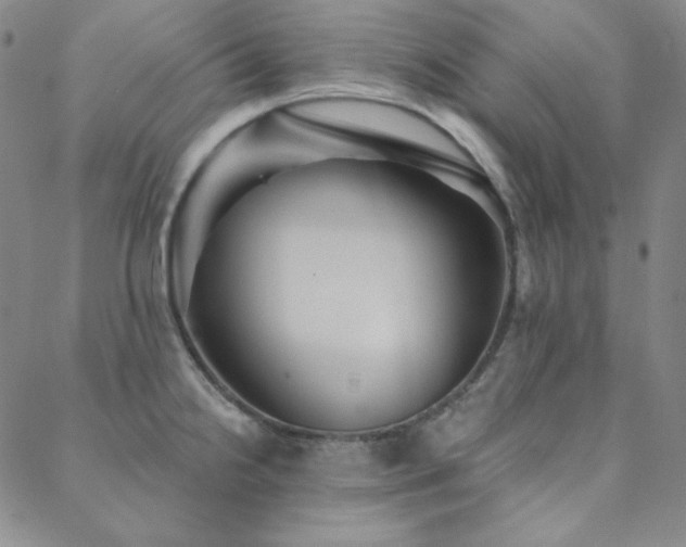 X0000088871238200706081207