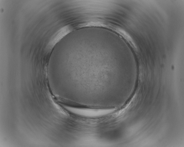 X0000088871241200706081207