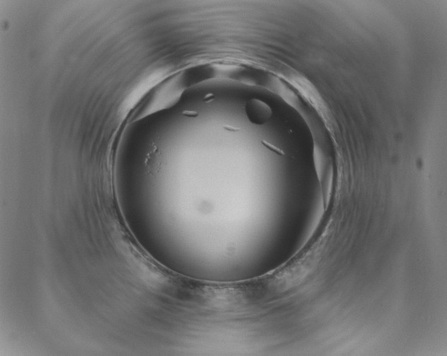 X0000088871242200706081207