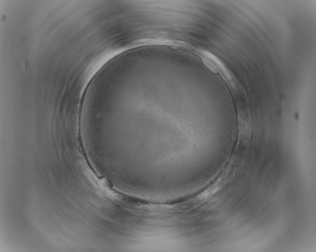 X0000088871244200706081208
