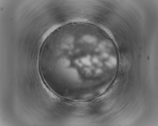 X0000088871245200706081208