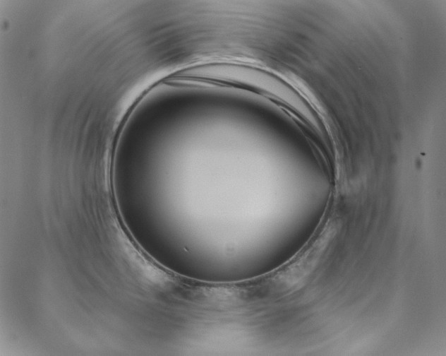 X0000088871246200706081208