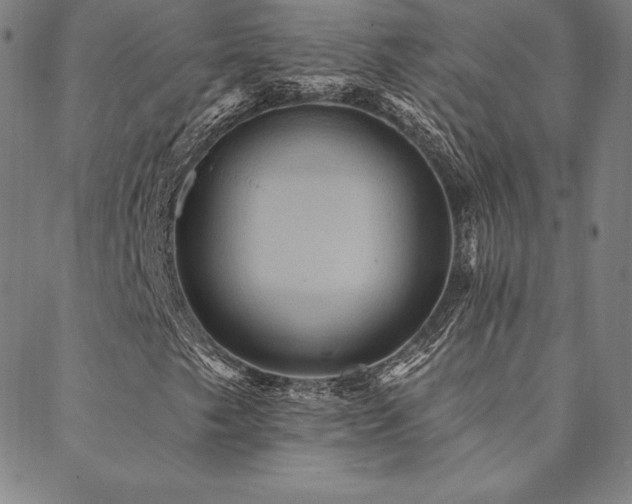 X0000088871249200706081207