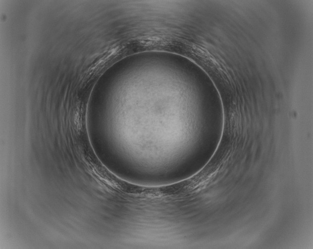 X0000088871250200706081207