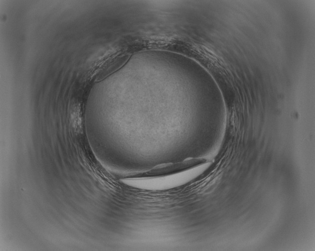 X0000088871252200706081207