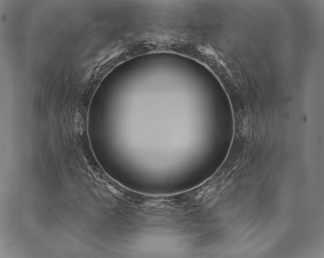 X0000088871253200706081207