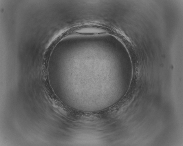 X0000088871256200706081207