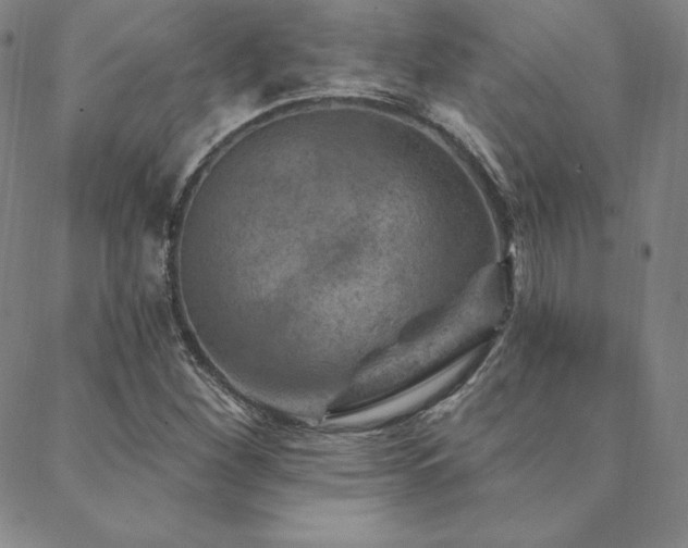 X0000088871260200706081207
