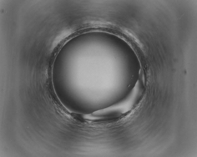 X0000088871261200706081207