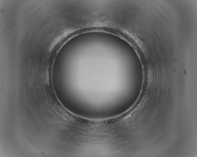 X0000088871262200706081207