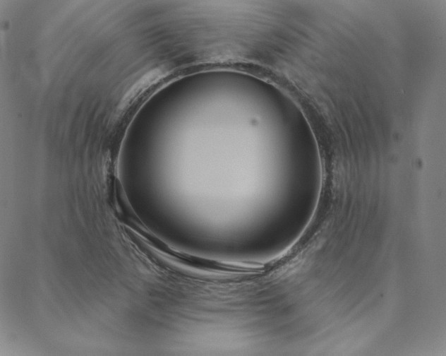 X0000088871265200706081207