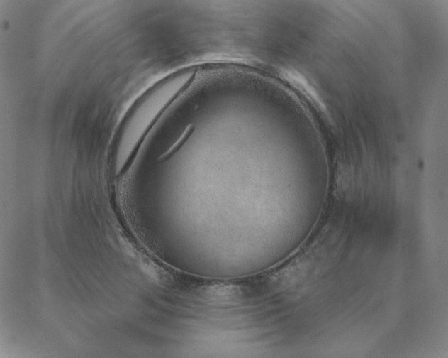 X0000088871268200706081207