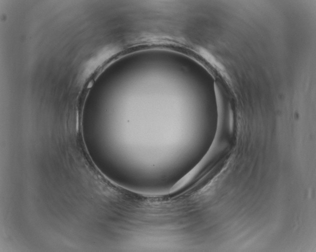 X0000088871269200706081206