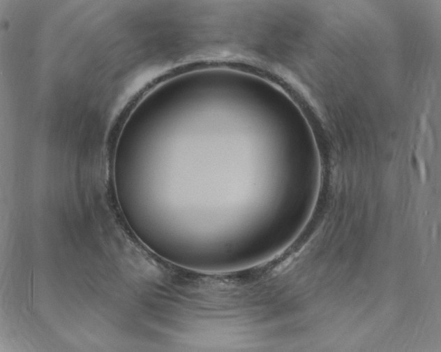 X0000088871270200706081206