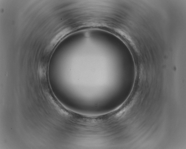 X0000088871273200706081206