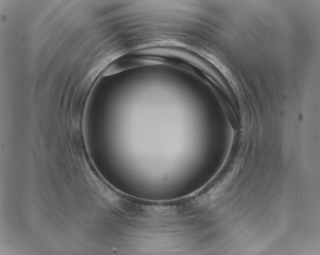 X0000088871281200706081206
