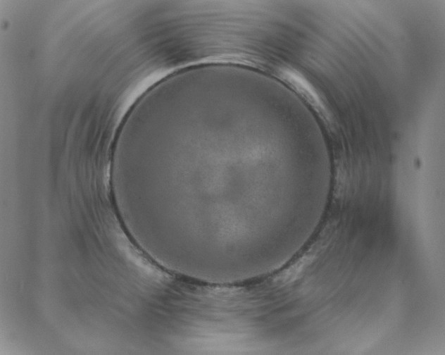 X0000088871284200706081206