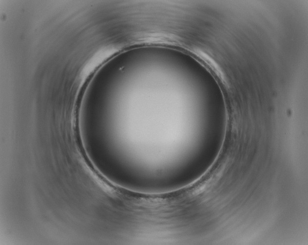 X0000088871285200706081206