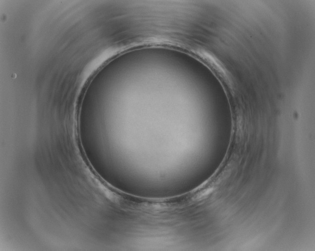 X0000088871286200706081206
