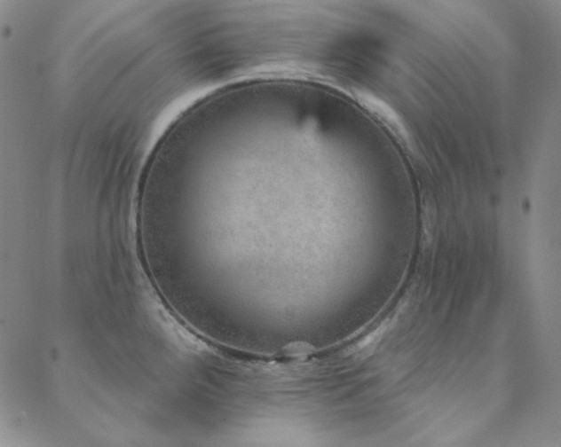 X0000088871288200706081206