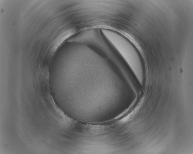 X0000088871289200706081206