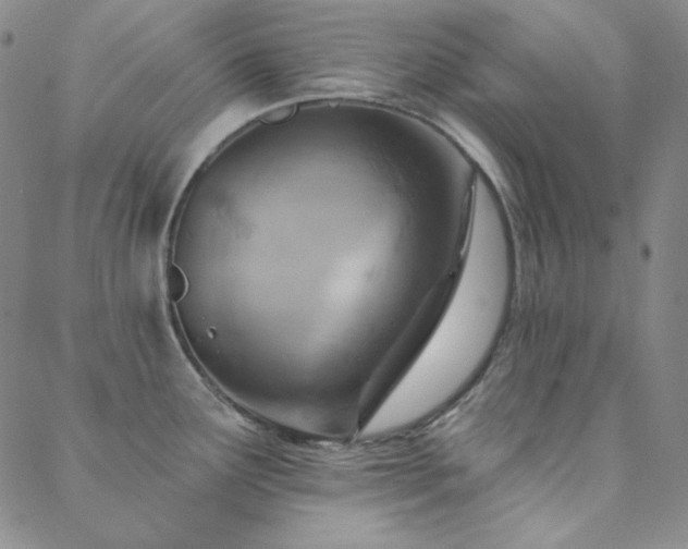 X0000088871291200706081206