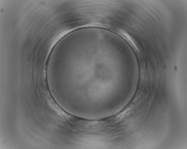 X0000088871292200706081206
