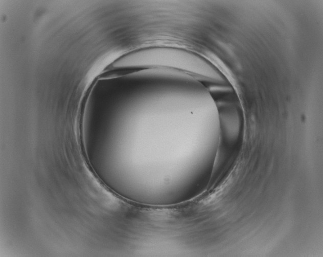 X0000088871293200706081206