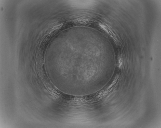 X0000088871297200706081205