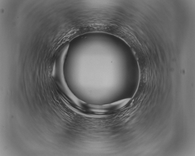 X0000088871298200706081205