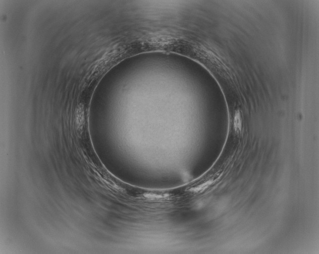 X0000088871299200706081205