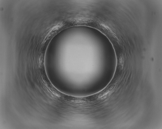 X0000088871300200706081205