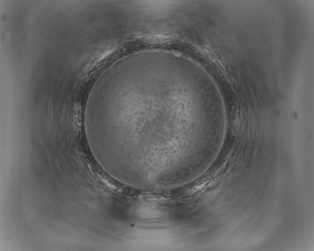 X0000088871301200706081205