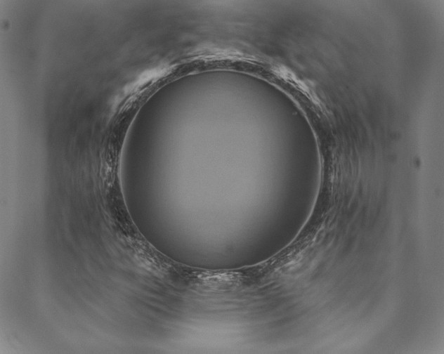 X0000088871303200706081205