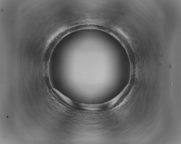 X0000088871310200706081205