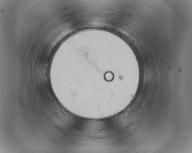 X0000088871314200706081206