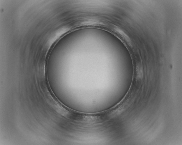 X0000088871322200706081206
