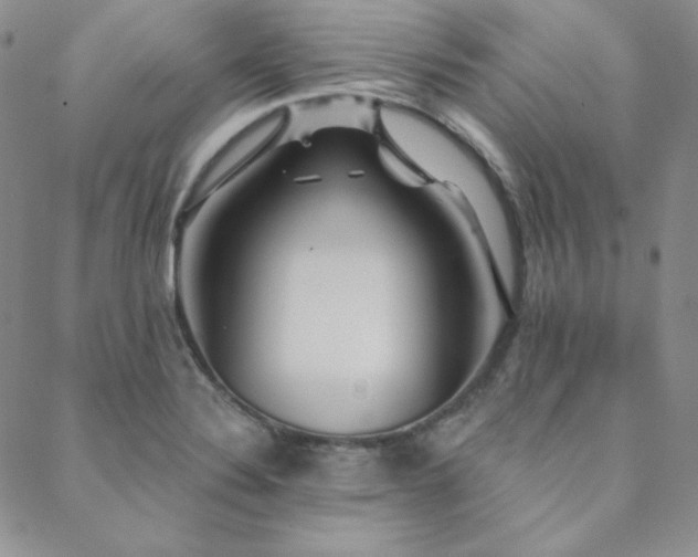 X0000088871324200706081206
