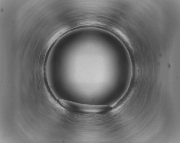 X0000088871330200706081206